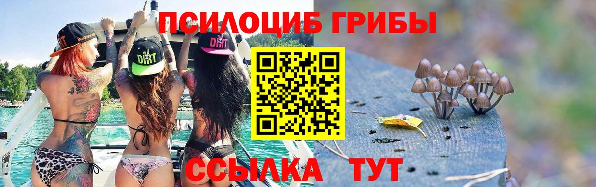 Псилоцибиновые грибы Cubensis  Вход с VPN  Миллерово 